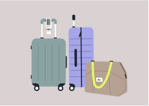 Entretien et astuces